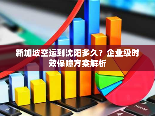 新加坡空运到沈阳多久？企业级时效保障方案解析