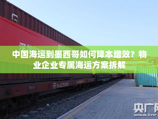 中国海运到墨西哥如何降本增效？物业企业专属海运方案拆解