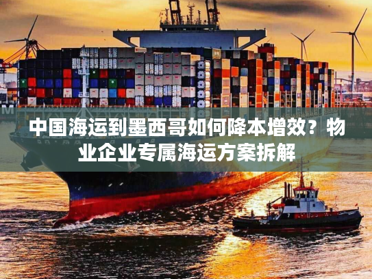 中国海运到墨西哥如何降本增效？物业企业专属海运方案拆解