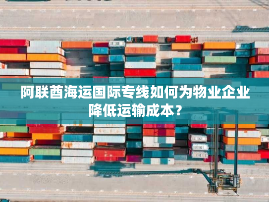 阿联酋海运国际专线如何为物业企业降低运输成本？