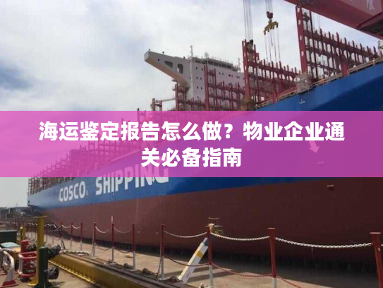 海运鉴定报告怎么做?物业企业通关必备指南 海运鉴定报告怎么做?物业企业通关必备指南