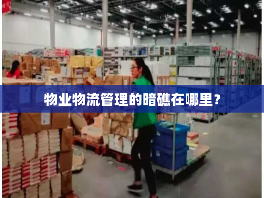 物业物流管理的暗礁在哪里? 物业物流管理的暗礁在哪里?