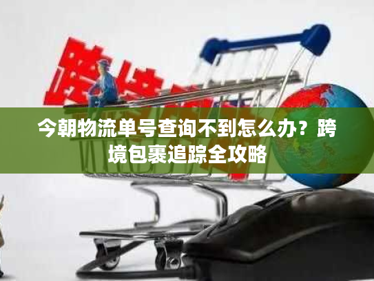 今朝物流单号查询不到怎么办?跨境包裹追踪全攻略 今朝物流单号查询不到怎么办?跨境包裹追踪全攻略
