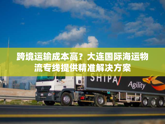 跨境运输成本高？大连国际海运物流专线提供精准解决方案