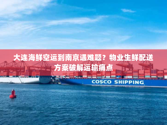 大连海鲜空运到南京遇难题？物业生鲜配送方案破解运输痛点