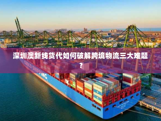 深圳澳新线货代如何破解跨境物流三大难题？