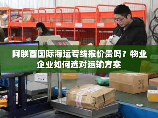 阿联酋国际海运专线报价贵吗?物业企业如何选对运输方案 阿联酋国际海运专线报价贵吗?物业企业如何选对运输方案