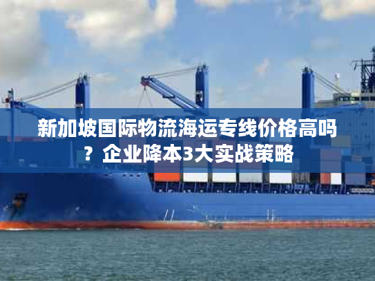 新加坡国际物流海运专线价格高吗？企业降本3大实战策略