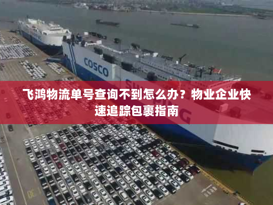 飞鸿物流单号查询不到怎么办？物业企业快速追踪包裹指南