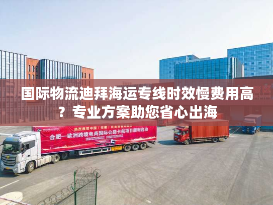 国际物流迪拜海运专线时效慢费用高?专业方案助您省心出海 国际物流迪拜海运专线时效慢费用高?专业方案助您省心出海
