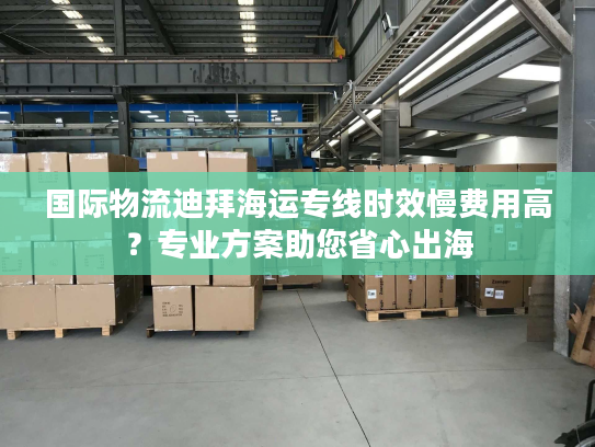 国际物流迪拜海运专线时效慢费用高?专业方案助您省心出海 国际物流迪拜海运专线时效慢费用高?专业方案助您省心出海
