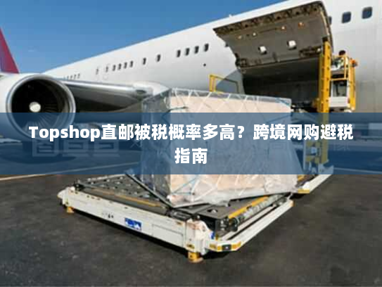 Topshop直邮被税概率多高？跨境网购避税指南