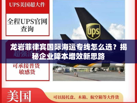 龙岩菲律宾国际海运专线怎么选？揭秘企业降本增效新思路