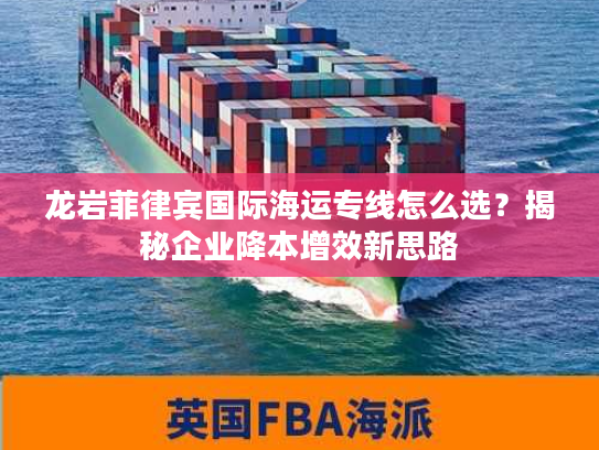 龙岩菲律宾国际海运专线怎么选？揭秘企业降本增效新思路