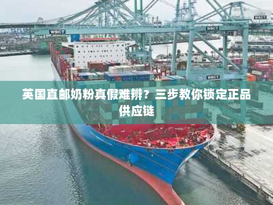 英国直邮奶粉真假难辨？三步教你锁定正品供应链