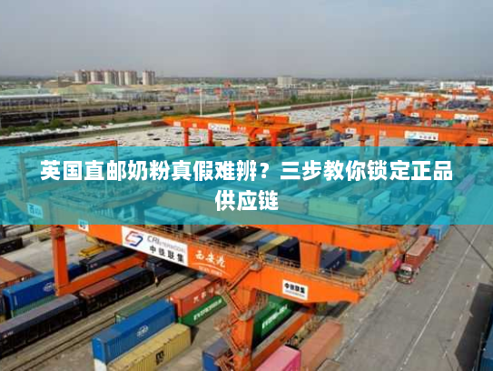 英国直邮奶粉真假难辨？三步教你锁定正品供应链