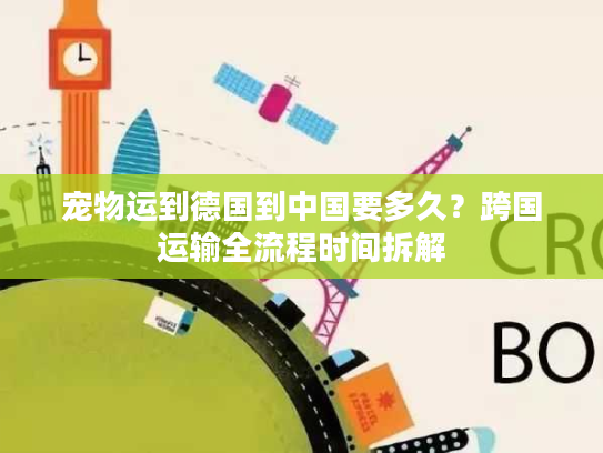 宠物运到德国到中国要多久?跨国运输全流程时间拆解 宠物运到德国到中国要多久?跨国运输全流程时间拆解
