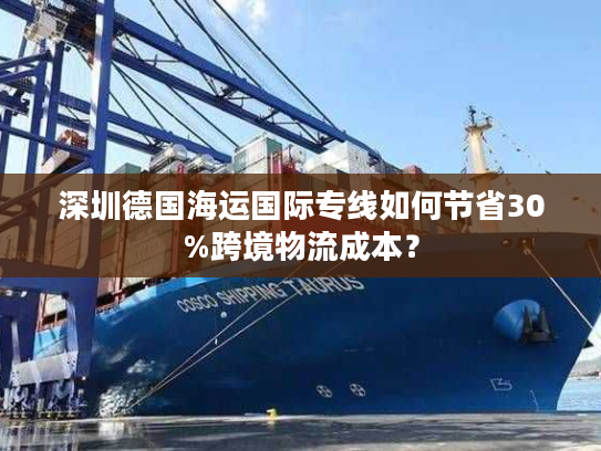深圳德国海运国际专线如何节省30%跨境物流成本？