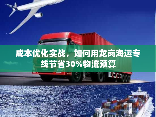成本优化实战，如何用龙岗海运专线节省30%物流预算