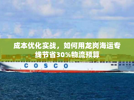成本优化实战，如何用龙岗海运专线节省30%物流预算