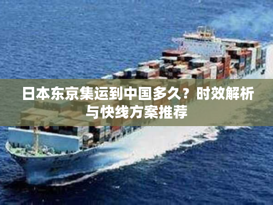 日本东京集运到中国多久？时效解析与快线方案推荐