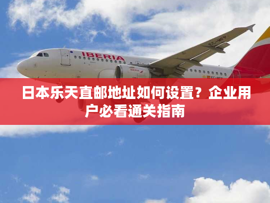 日本乐天直邮地址如何设置？企业用户必看通关指南