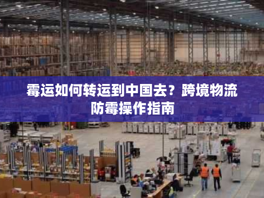 霉运如何转运到中国去？跨境物流防霉操作指南