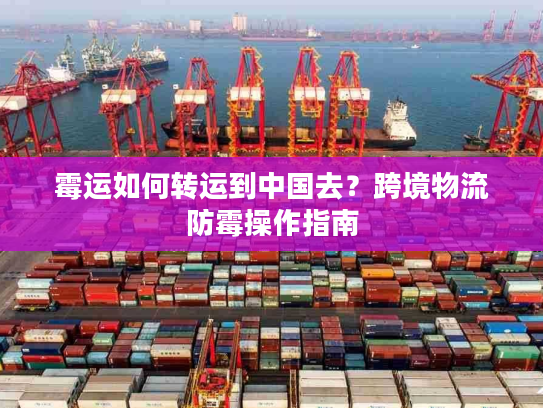 霉运如何转运到中国去？跨境物流防霉操作指南