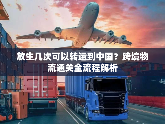 放生几次可以转运到中国？跨境物流通关全流程解析