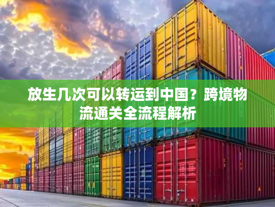 放生几次可以转运到中国？跨境物流通关全流程解析