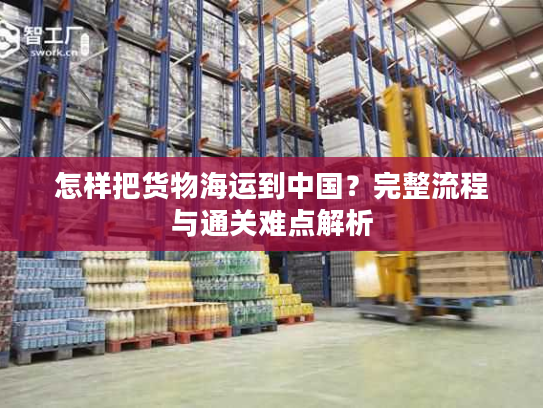 怎样把货物海运到中国？完整流程与通关难点解析