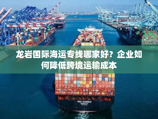 龙岩国际海运专线哪家好？企业如何降低跨境运输成本
