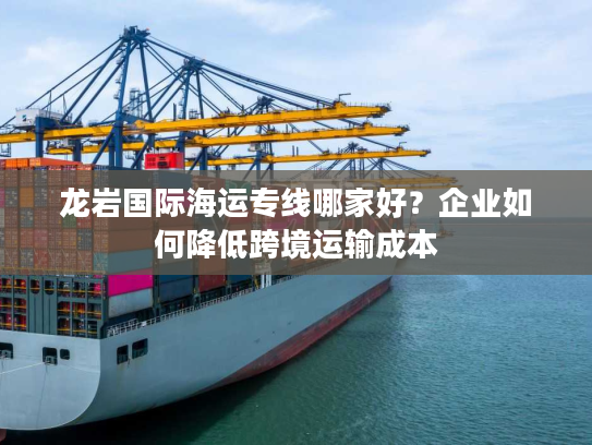 龙岩国际海运专线哪家好？企业如何降低跨境运输成本