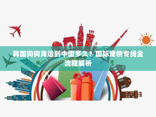 韩国狗狗海运到中国多久？国际宠物专线全流程解析