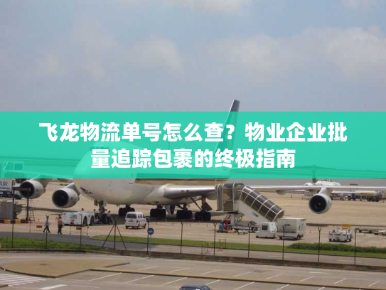 飞龙物流单号怎么查？物业企业批量追踪包裹的终极指南