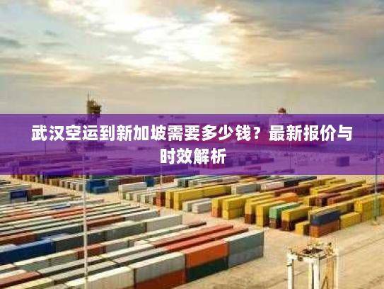 武汉空运到新加坡需要多少钱？最新报价与时效解析