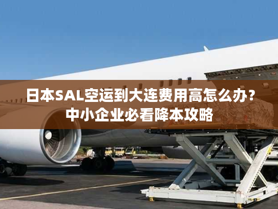 日本SAL空运到大连费用高怎么办？中小企业必看降本攻略
