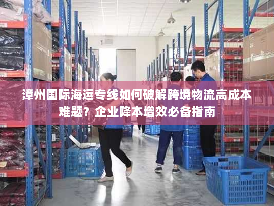 漳州国际海运专线如何破解跨境物流高成本难题？企业降本增效必备指南