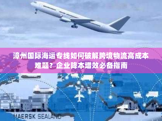 漳州国际海运专线如何破解跨境物流高成本难题？企业降本增效必备指南