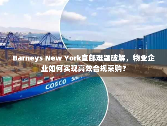 Barneys New York直邮难题破解，物业企业如何实现高效合规采购？