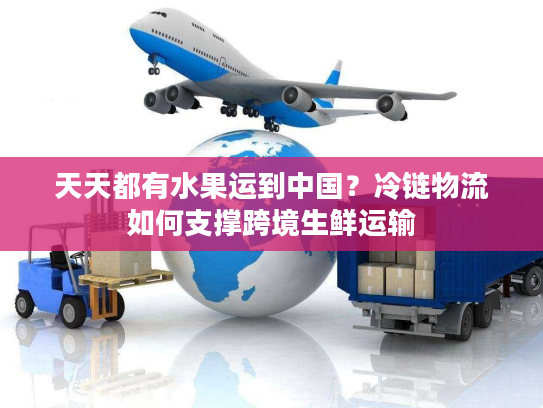 天天都有水果运到中国？冷链物流如何支撑跨境生鲜运输