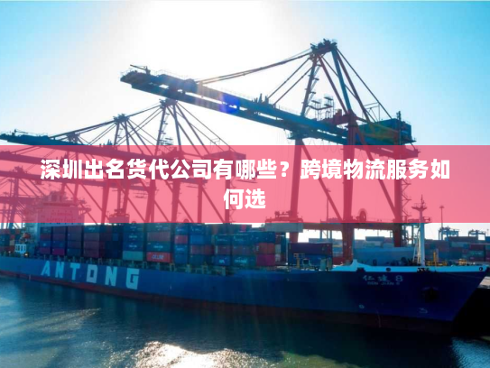 深圳出名货代公司有哪些?跨境物流服务如何选 深圳出名货代公司有哪些?跨境物流服务如何选