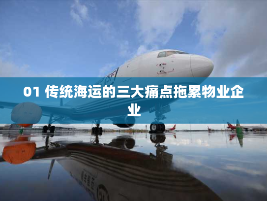 01 传统海运的三大痛点拖累物业企业