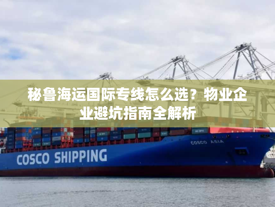秘鲁海运国际专线怎么选？物业企业避坑指南全解析