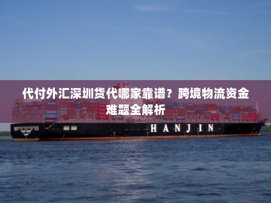 代付外汇深圳货代哪家靠谱?跨境物流资金难题全解析 代付外汇深圳货代哪家靠谱?跨境物流资金难题全解析