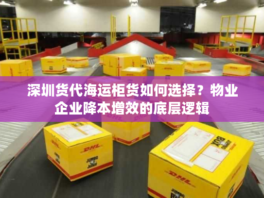 深圳货代海运柜货如何选择？物业企业降本增效的底层逻辑
