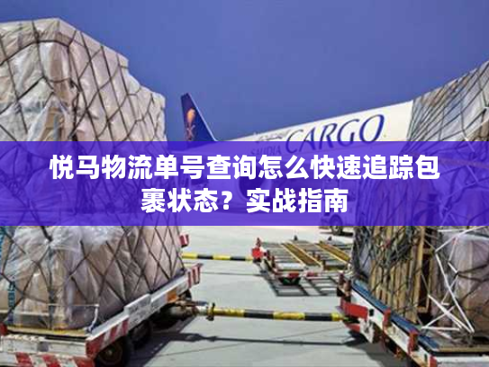 悦马物流单号查询怎么快速追踪包裹状态？实战指南