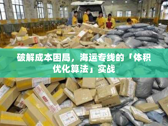 破解成本困局，海运专线的「体积优化算法」实战