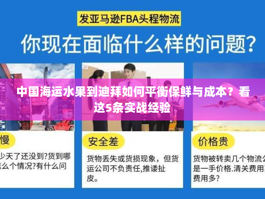 中国海运水果到迪拜如何平衡保鲜与成本？看这5条实战经验
