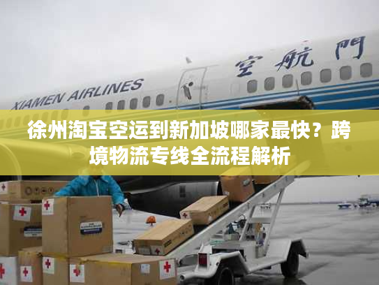 徐州淘宝空运到新加坡哪家最快?跨境物流专线全流程解析 徐州淘宝空运到新加坡哪家最快?跨境物流专线全流程解析
